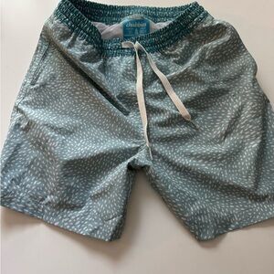 Chubbies boys Green Swim Shorts